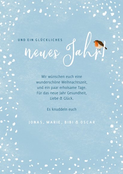 Winterliche Foto-Weihnachtskarte Rotkhelchen 3