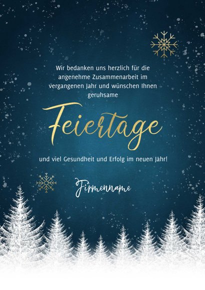 Winterliche geschäftliche Weihnachtskarte Foto innen 3