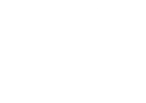 Einladung Silberhochzeit silberner Eukalyptus Rückseite