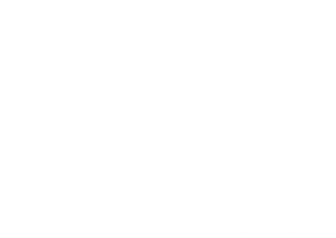 Geburtskarte mit Foto und Pfingstrosen Rückseite