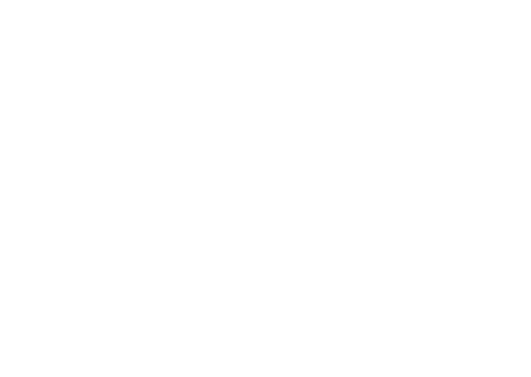 Geburtskarte Zwillinge Linienspiel Rückseite