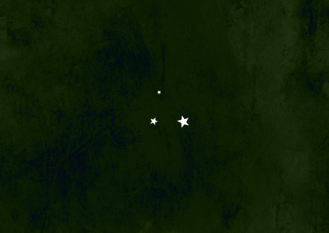 Gutscheinkarte Fotocollage Weihnachten Herzen Tannenzweige  Rückseite