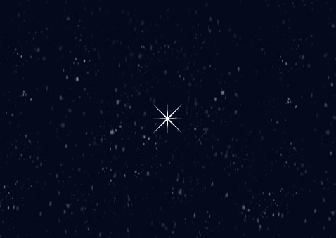 Weihnachtskarte Eisbär im Schnee Foto Sterne Nachthimmel Rückseite