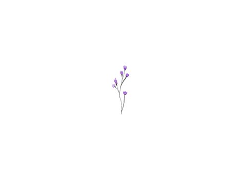 Dankeskarte Trauer lila Blumen Aquarell Rückseite