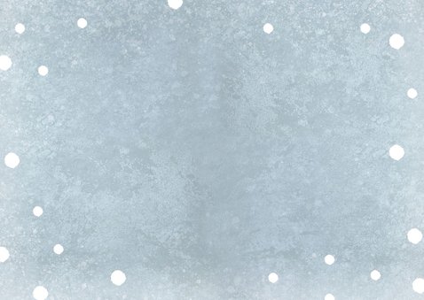 Einladung 10. Kindergeburtstag Junge Winterparty Foto Rückseite