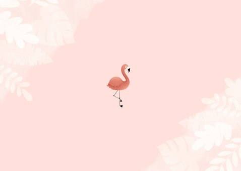 Einladung 6. Kindergeburtstag botanisch Flamingo und Foto Rückseite