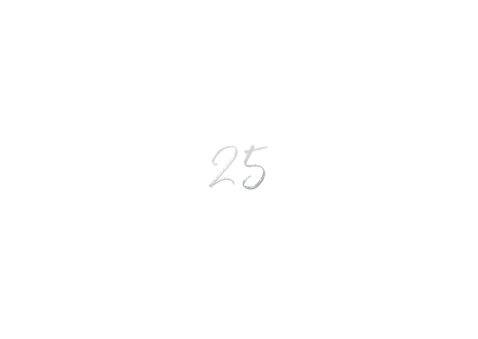 Einladung zur Silberhochzeit mit 25 und Foto Rückseite