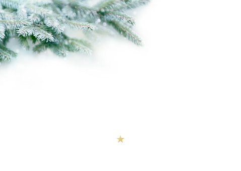Einladungskarte Weihnachtsfeier Tannenzweige Rückseite