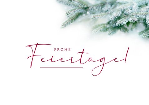 Firmen-Weihnachtskarte 'Danke' Zweige Goldschrift 2