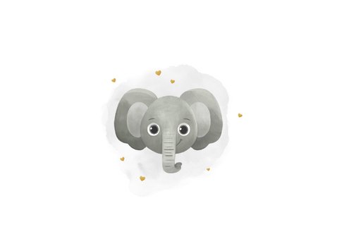 Foto-Geburtskarte mit Elefant & Name in Gold 2