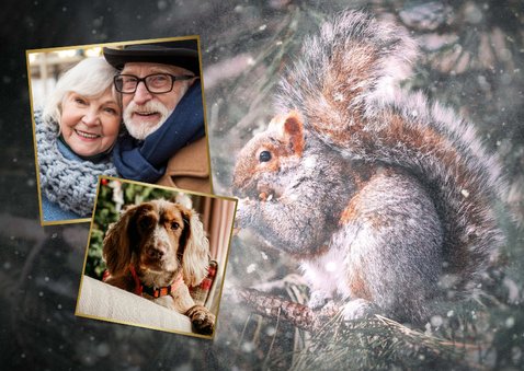 Fotokarte Eichhörnchen Winterwald 2