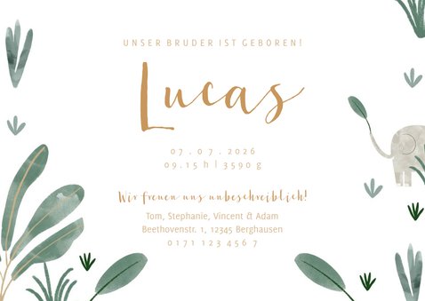 Geburtskarte kleiner Bruder Elefanten Foto innen 3