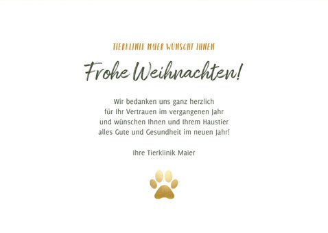 Geschäftliche Weihnachtskarte für Tierklinik oder Tierarzt 3