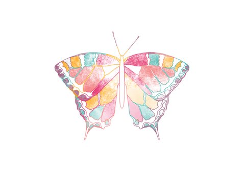 Glückwunschkarte Jugendweihe bunter Schmetterling 2