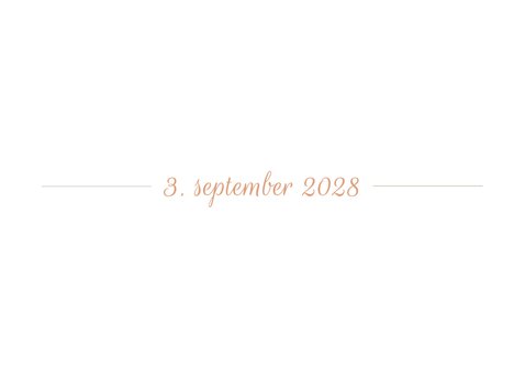 Save-the-Date-Karte Hochzeitsdatum moderne Klassik 2