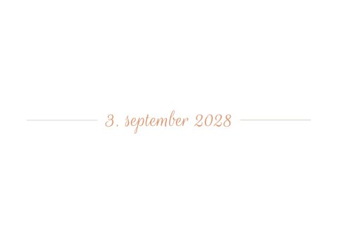 Save-the-Date-Karte Hochzeitsdatum moderne Klassik 2