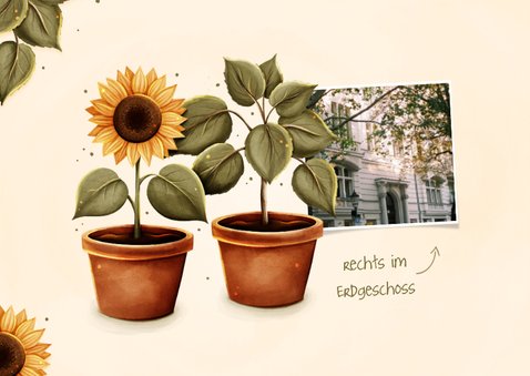 Umzugskarte Sonnenblumen Topfpflanze Foto 2