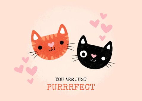 Valentinskarte 'Purrrfect' mit Katzen 2