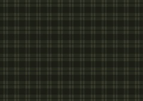 Weihnachts-Fotocollage-Karte Tartan Karo dunkelgrün 2