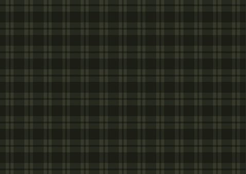 Weihnachts-Fotocollage-Karte Tartan Karo dunkelgrün 2