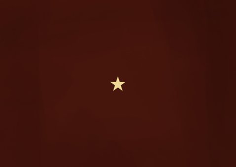 Weihnachts-Fotocollagekarte mit Lichtpunkten 'Frohes Fest' Rückseite