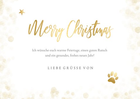 Weihnachtskarte eigenes Foto Hunde 3