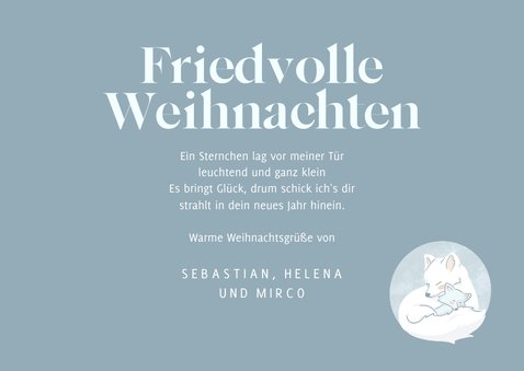 Weihnachtskarte Foto & Schneefüchse 3