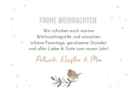Weihnachtskarte Fotos, Mond & Rotkehlchen 3