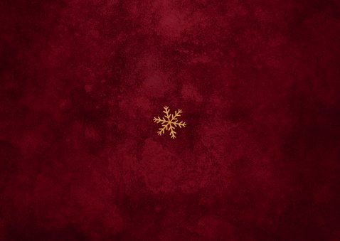 Weihnachtskarte Lichterkette & Zweige dunkelrot Aquarell Rückseite