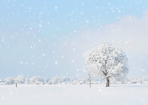 Weihnachtskarte verschneite Landschaft 2