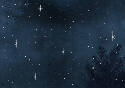 Weihnachtskarte Weihnachtsdackel Geschenke im Schnee Rückseite