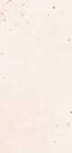 Hochzeitseinladung rosé filigraner Zweig Rückseite