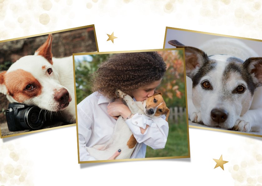 Weihnachtskarte eigenes Foto Hunde Send a Smile