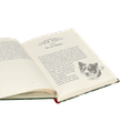 Buch ‘Die Ponys von Lillasund’ 2