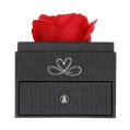 Schmuckkästchen rote Rose 6