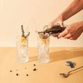 Pineut DIY-Mix für Gin Tonic 2
