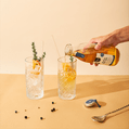 Pineut DIY-Mix für Gin Tonic 3