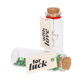 Glücksbringer im Fläschchen 4