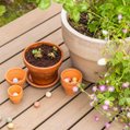Bunte Blumenbomben 4