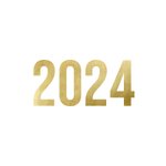 2024 Gold auf Weiß