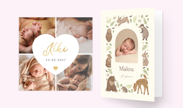 Geburtskarten für Jungen