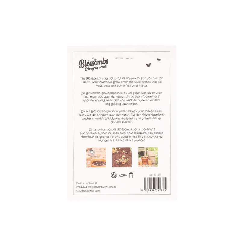 Blumenbomben ‘Glückspuppe’