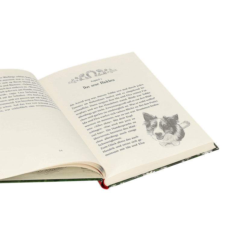 Buch ‘Die Ponys von Lillasund’