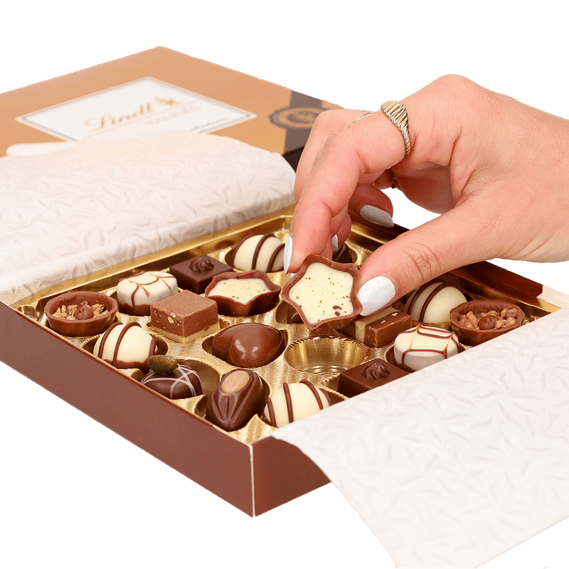 Lindt Mini Pralinés 100g