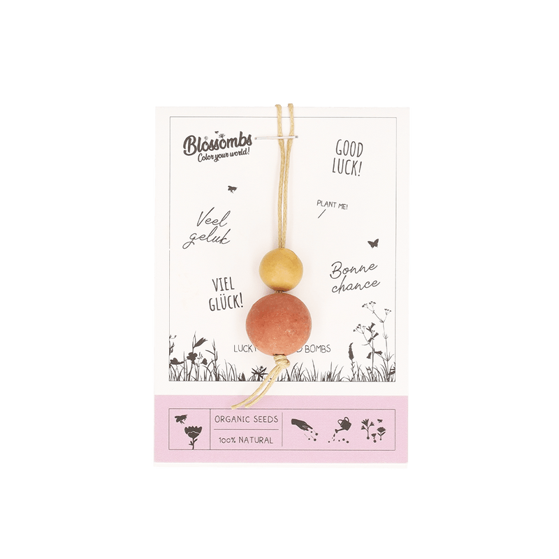 Blumenbomben ‘Glückspuppe’