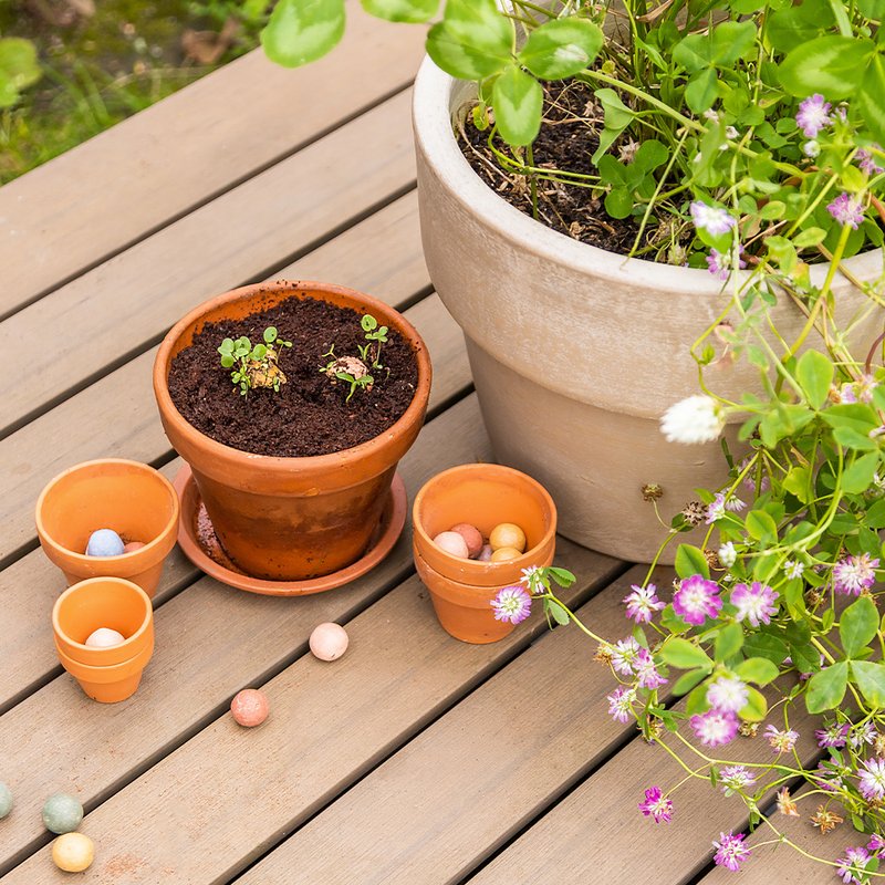Bunte Blumenbomben