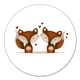 Fuchs Zwillinge