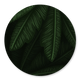 Palmenblaetter