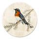 Singvogel Winter M