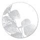 Eukalyptus silber M